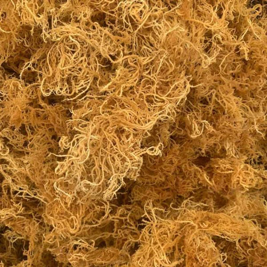 Gold Sea Moss